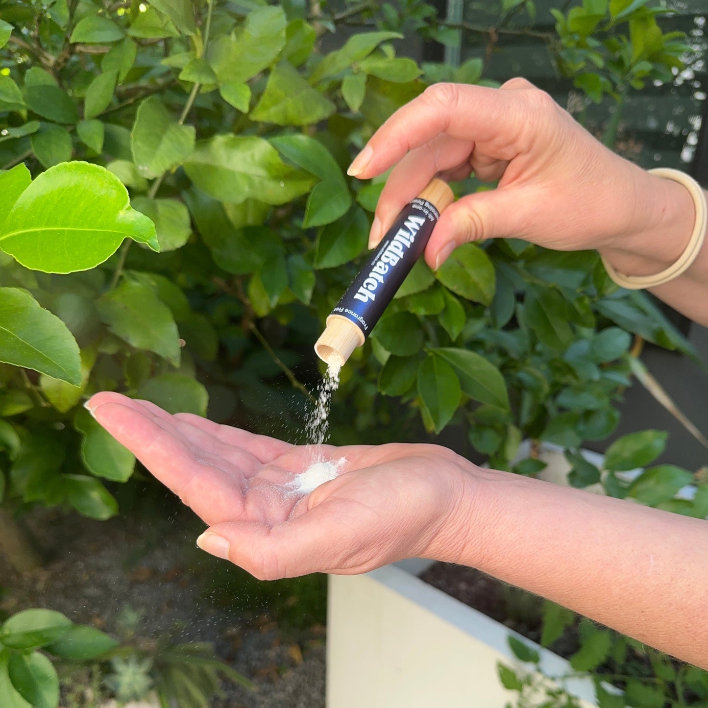 Fragrance Free